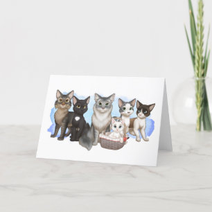 Katt- och besättningshälsningskort 5 x 7 tum helgkort