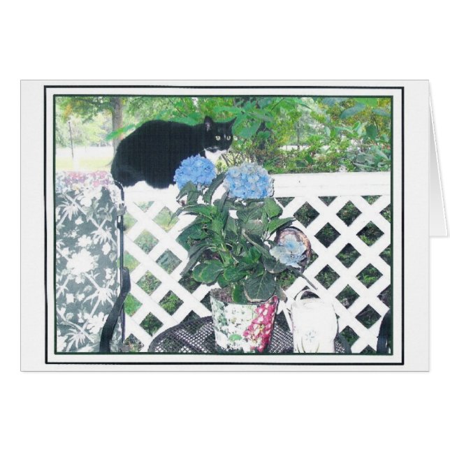 KATT OCH BLOMMA HÄLSNINGSKORT (Framsidan Horizontal)