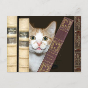 Katt och bokar vykort