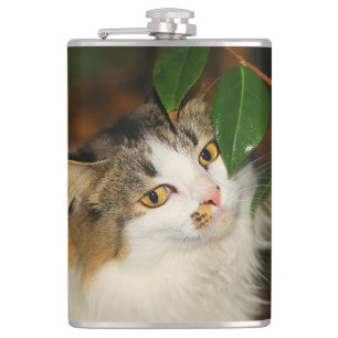 Katt och Camellia Fickplunta