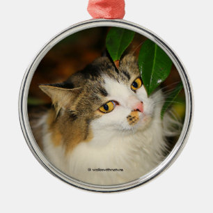 Katt och Camellia Julgransprydnad Metall