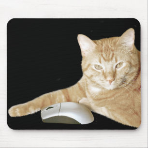 Katt- och datormus musmatta