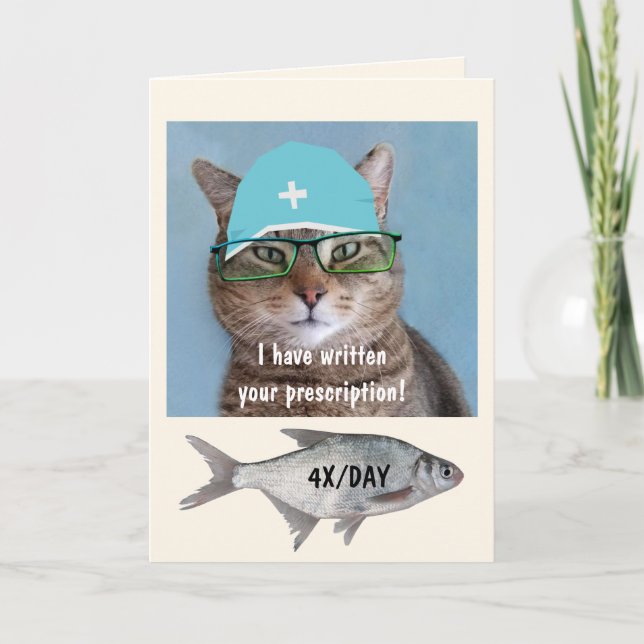 Katt och fisk från doktor kommer bra kort (Framsida)
