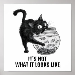 Katt och fisk poster