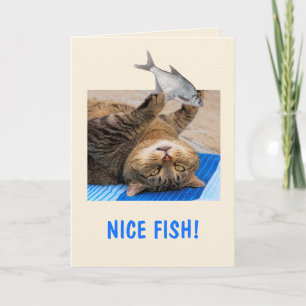 Katt- och fiskfödelsedag kort