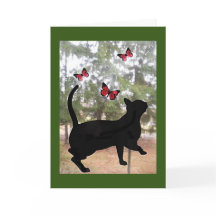 Katt och fjärilar, tänk på dig kort