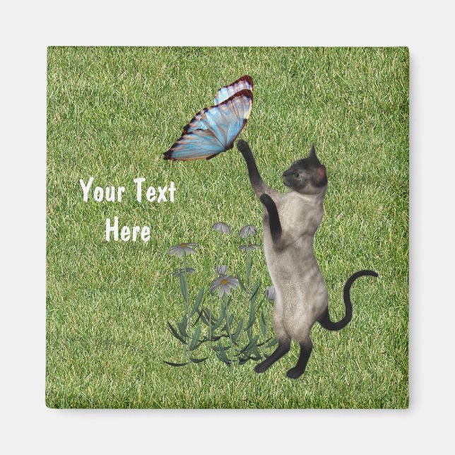 Katt- och fjärilsmussla magnet (Framsidan)