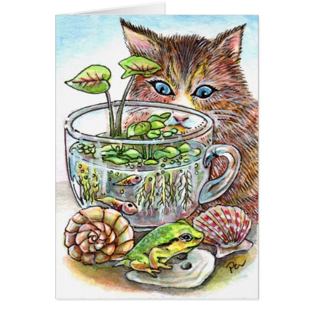 Katt och grodd OBS kort (Framsidan)