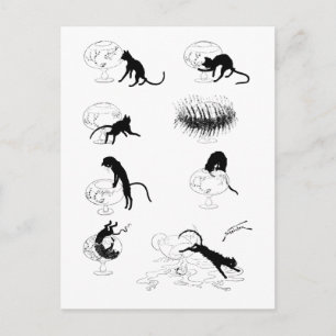 Katt och guldfisk, Alexandre Steinlen Vykort