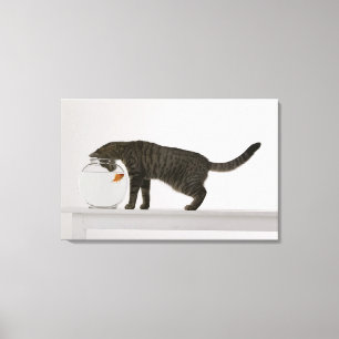 Katt och guldfisk canvastryck