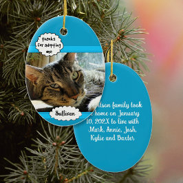 Katt och Hund-adoptionsfoto-familjen Pet-prydnad Julgransprydnad Keramik