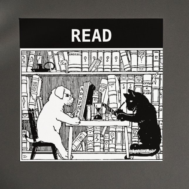 Katt och Hund i Bibliotek Magnet (Skapare uppladdad)