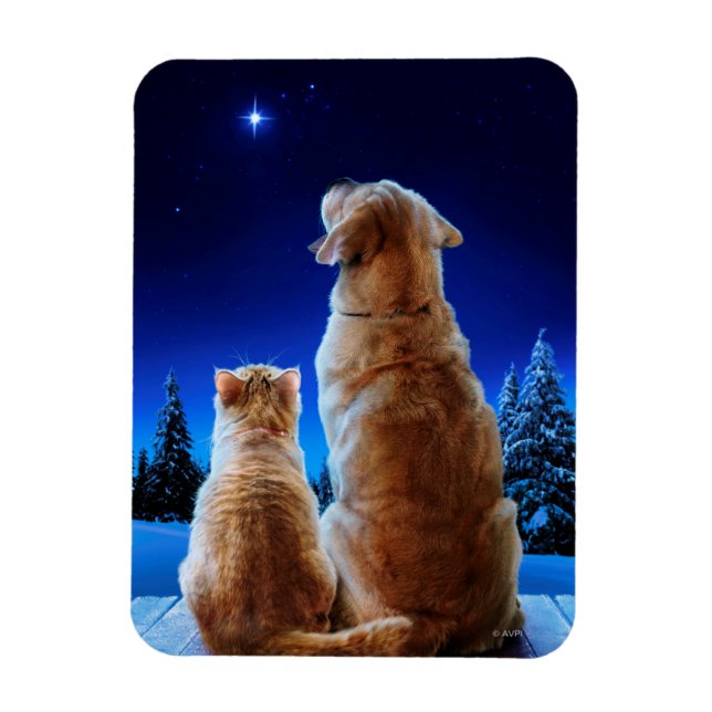 Katt- och Hund-julMiracle Magnet (Vertikal)