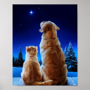 Katt- och Hund-julMiracle Poster