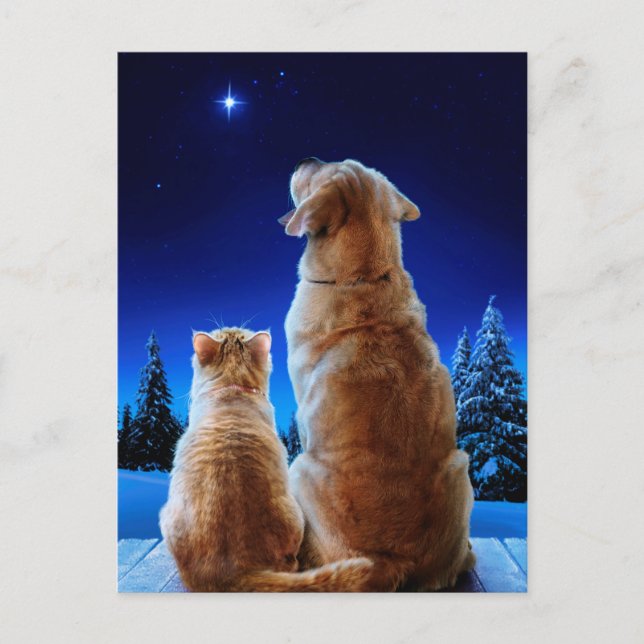 Katt och hund julmirakel inbjudan vykort (Framsida)