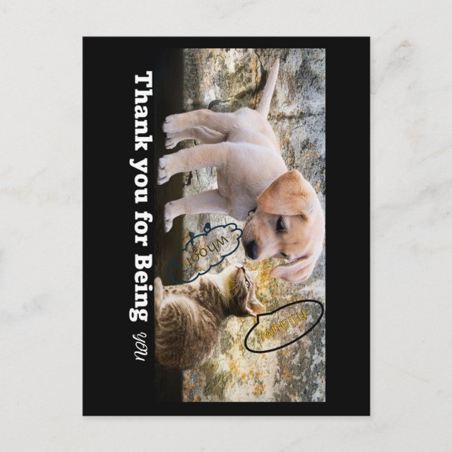 Katt och hund med text tack vykort (Framsida)