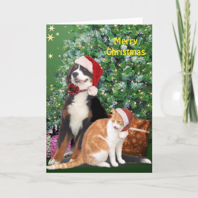 Katt och Hund med tomthattar Helgkort (Framsida)