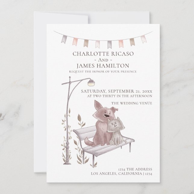 Katt och Hund på ett bänkdjur som behandlas i Bröl Meddelande (Framsida)