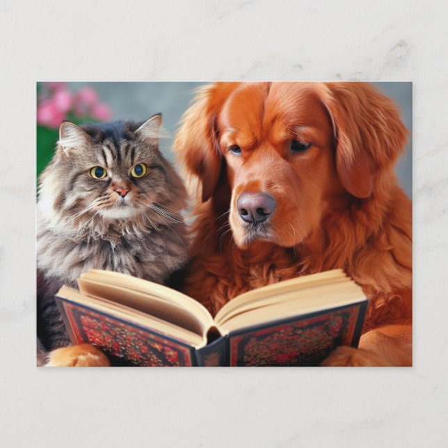 Katt och hund som läser bok vykort (Framsida)