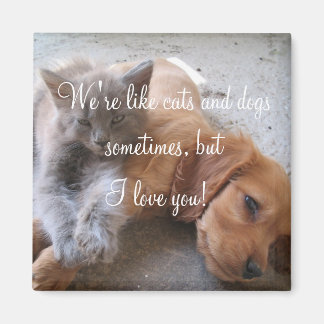 Katt och hundar kärlek Magnet