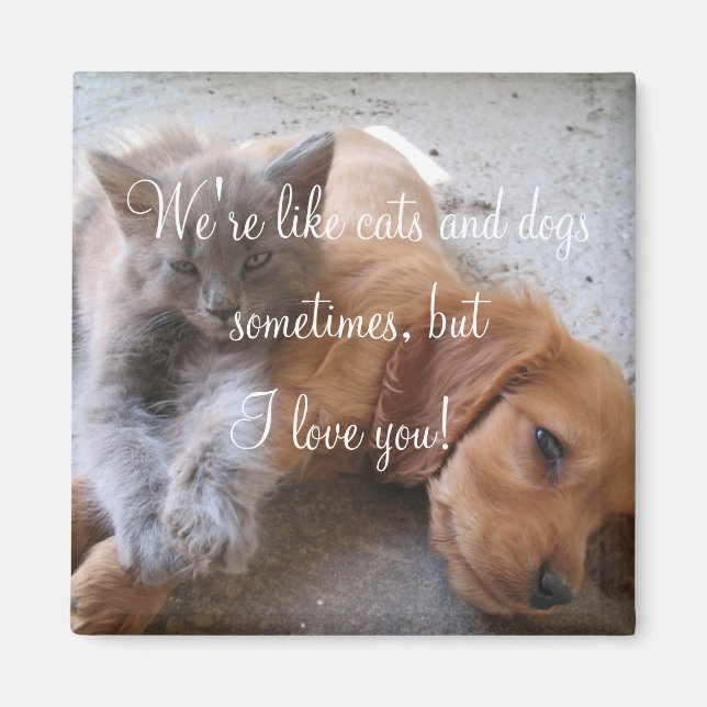 Katt och hundar kärlek Magnet (Framsidan)