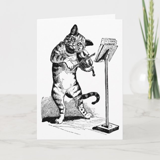 Katt- och inmatningskort kort (Framsida)