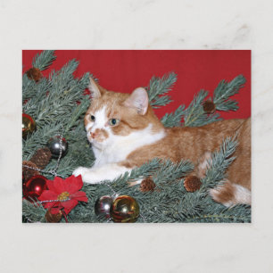 Katt och Julgran Helg Vykort