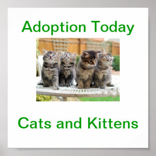 Katt- och kattadoption i dag, signatur poster
