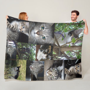 Katt- och kattfoto-kollage. fleecefilt
