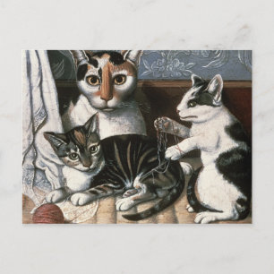 Katt och kattungar, 1872-1883 vykort