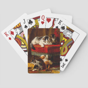 Katt och kattungar som leker med stol casinokort