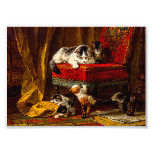 Katt och kattungar som leker med stol fototryck