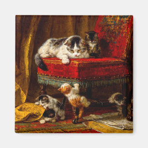 Katt och kattungar som leker med stol magnet