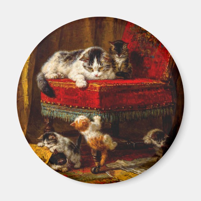 Katt och kattungar som leker med stol magnet (Framsidan)