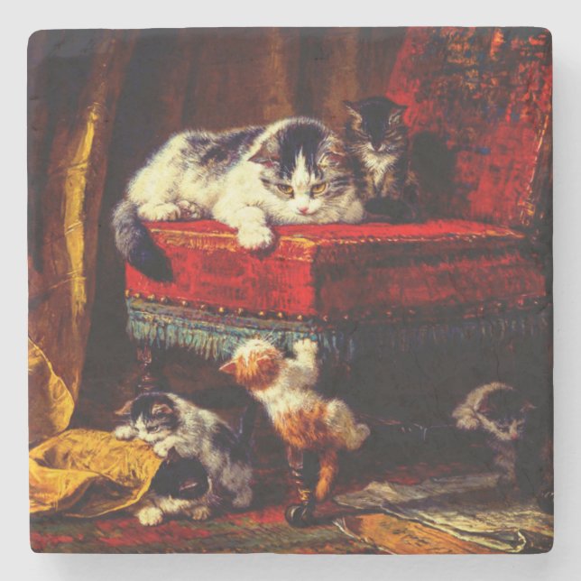 Katt och kattungar som leker med stol stenunderlägg (Framsidan)