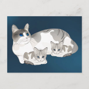 katt och kattungar vykort