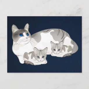 Katt och kattungar vykort