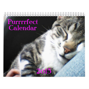 Katt- och kattungekalender 2015 kalender