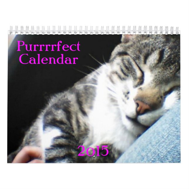 Katt- och kattungekalender 2015 kalender (Omslag)