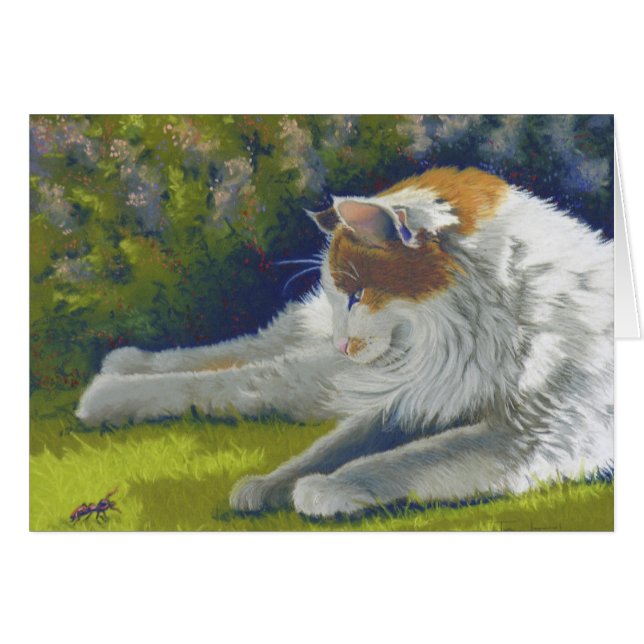 katt och kryp OBS kort (Framsidan Horizontal)