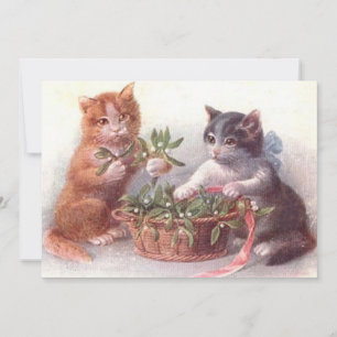 Katt och maltkött