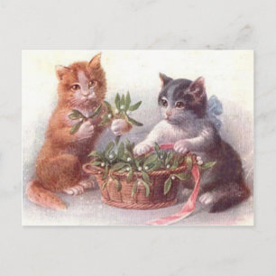 Katt och maltkött vykort