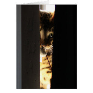 Katt och mus hälsningskort