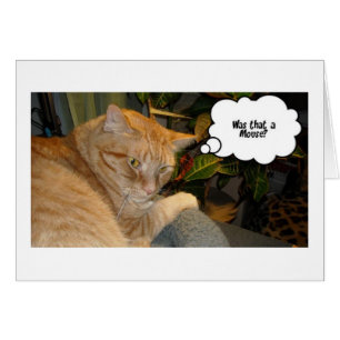 Katt och mus Humor Hälsningskort