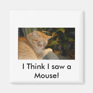 Katt och mus Humor Magnet