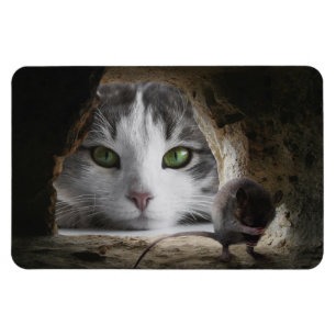 Katt och mus magnet