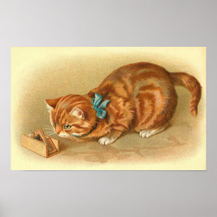 "Katt och mus" Poster