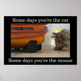 Katt- och musdemotiserande Poster