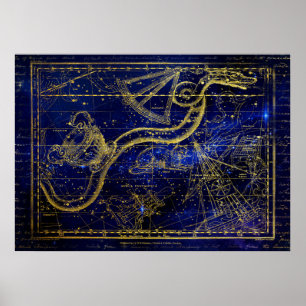 katt- och ormbildskonstellationsaffisch poster