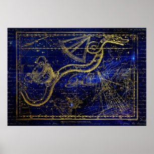 Katt- och ormkonellation poster